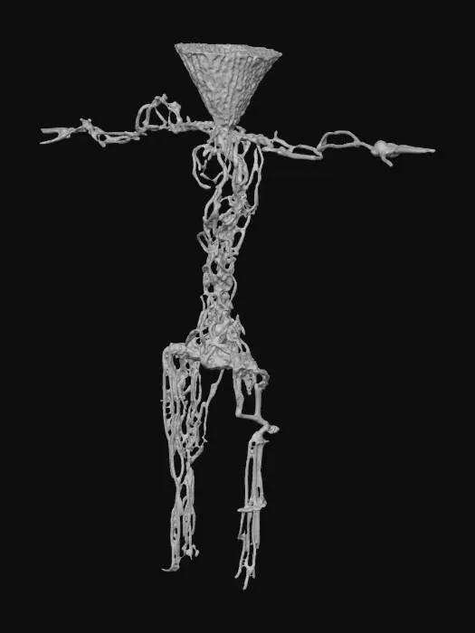 3D model for Void Being