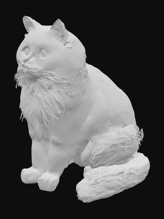 3D model for Black cat, green eyes, fluffy, maine coon