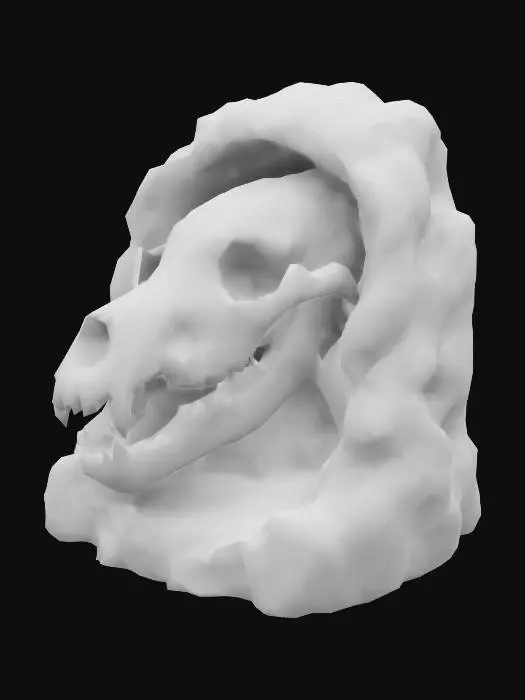 3D model for Cavernous Remains