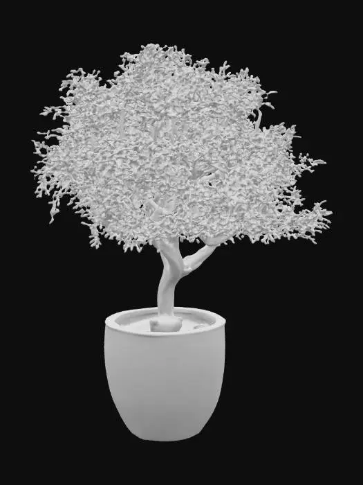 3D model for Olive Serenity