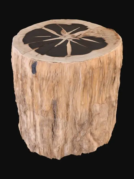 3D model for Timeless Stump