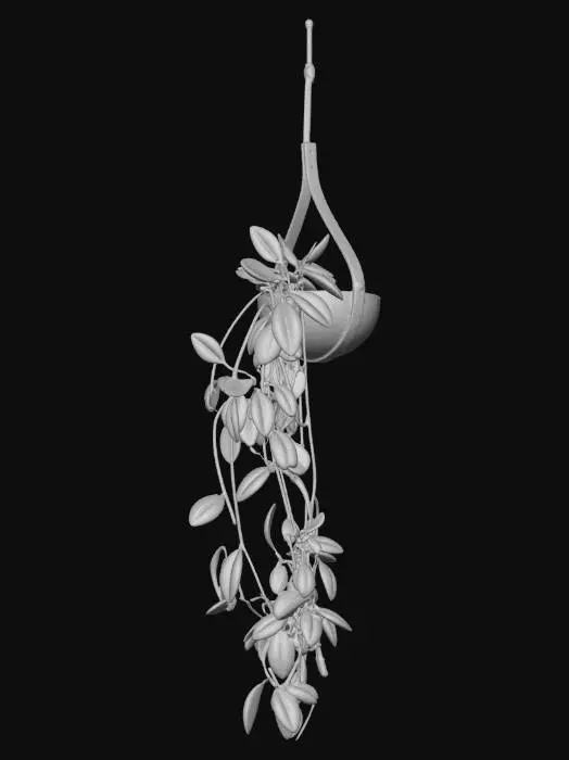 3D model for Green Cascade in a Teardrop Planter