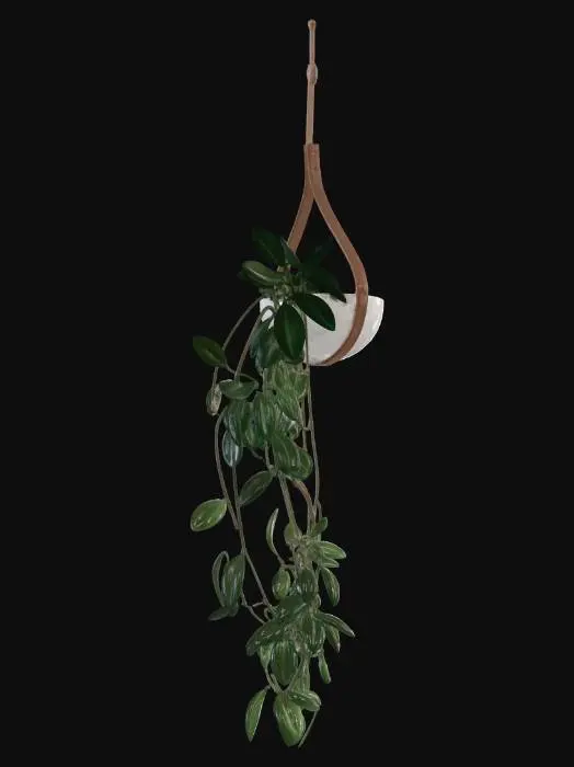 3D model for Green Cascade in a Teardrop Planter