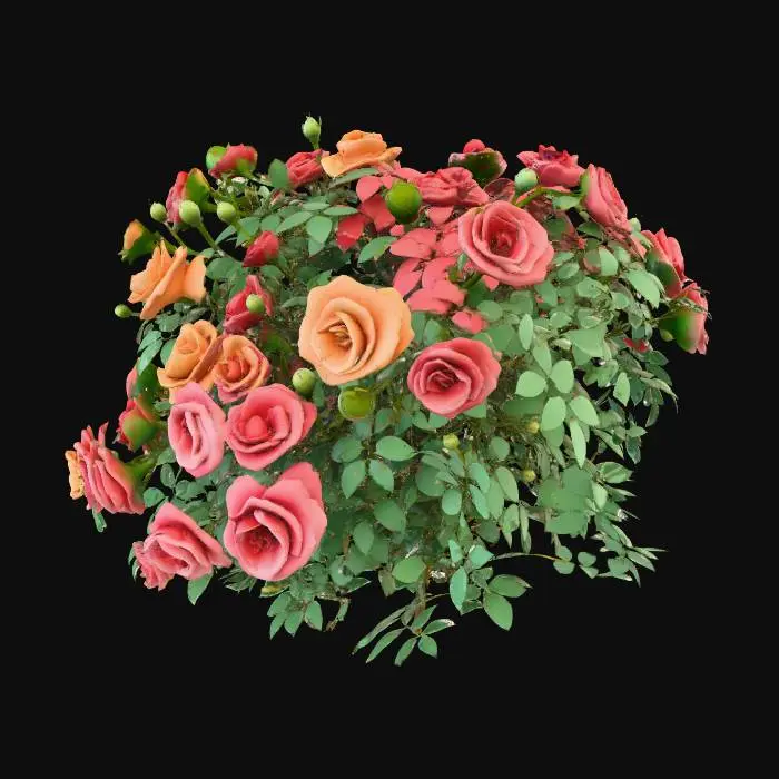 3D model for A beautiful rose bush