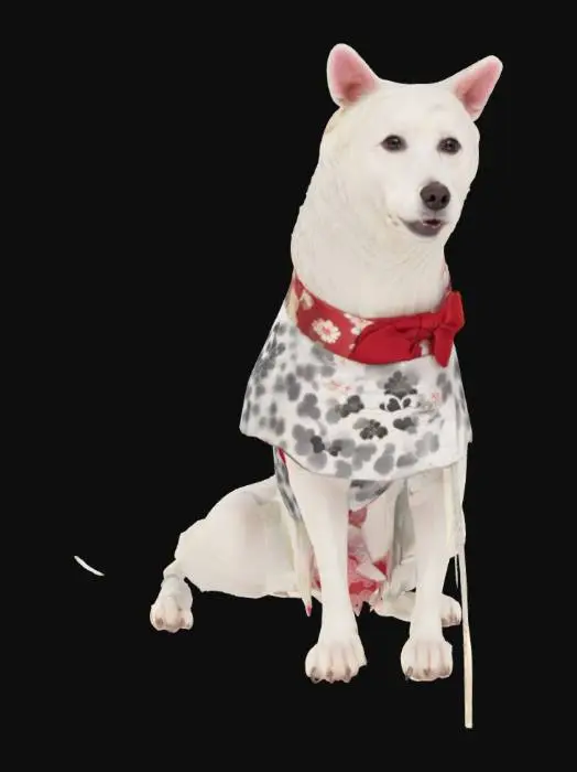 3D model for Cherry Blossom white cream shiba sitting