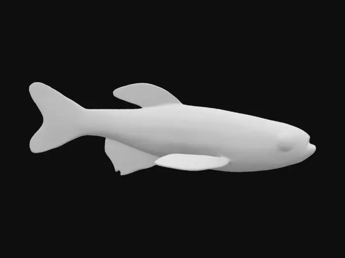 3D model for Zebrafish