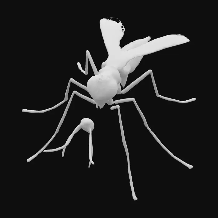 3D model for maak een realistische mosquito