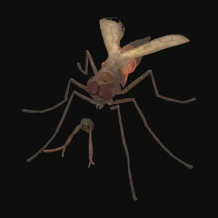 3D model for maak een realistische mosquito