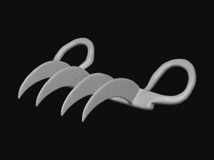 3D model for Baagh Nakh