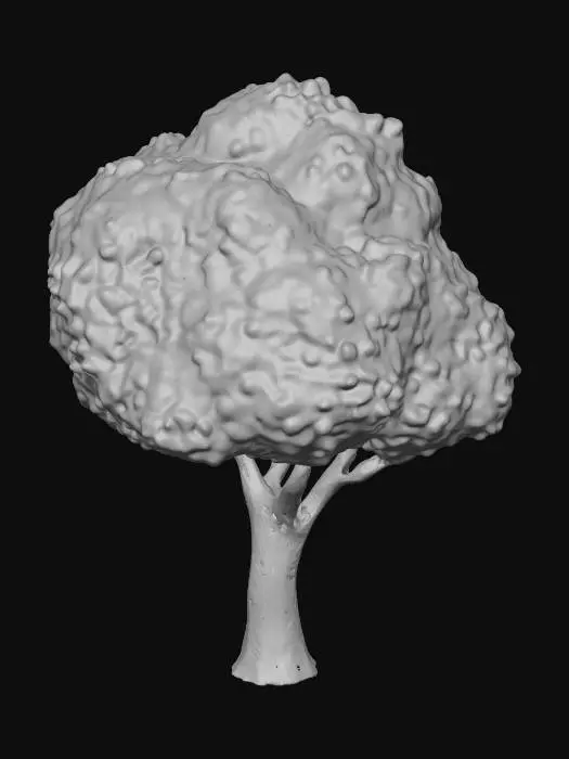 3D model for Summer Canopy