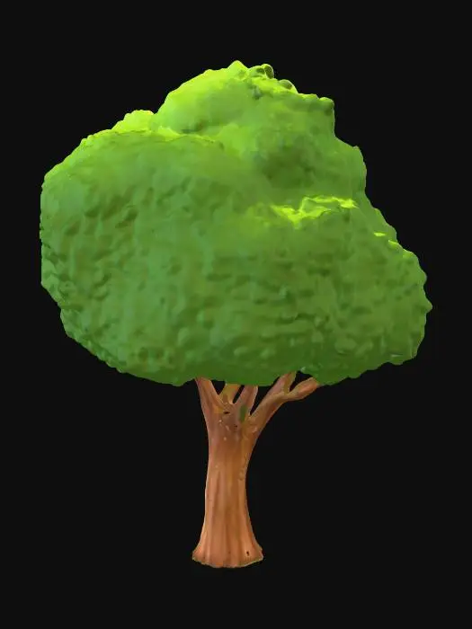 3D model for Summer Canopy