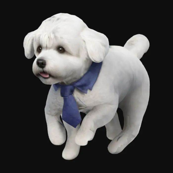 3D model for Create a 3D model of a Bichon Havanese dog wearing a stylish tie around its neck. The dog should have a fluffy, curly coat, with a playful and friendly expression. The tie should be neatly tied and can be of any color, but ensure it complements the dog’s appearance. Focus on details such as the texture of the fur, the facial features, and the movement of the tie, making it appear natural and dynamic.