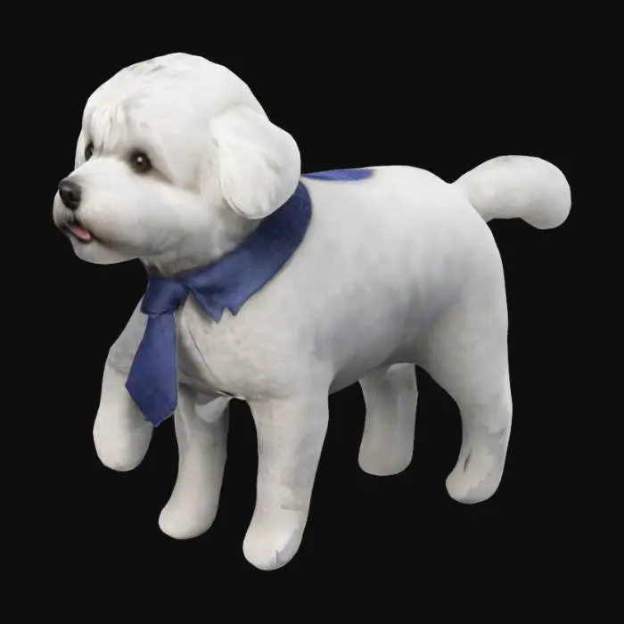3D model for Create a 3D model of a Bichon Havanese dog wearing a stylish tie around its neck. The dog should have a fluffy, curly coat, with a playful and friendly expression. The tie should be neatly tied and can be of any color, but ensure it complements the dog’s appearance. Focus on details such as the texture of the fur, the facial features, and the movement of the tie, making it appear natural and dynamic.