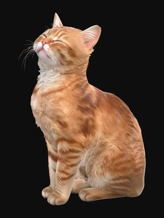 3D model for Sunlit Purr