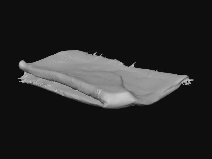 3D model for Frayed Cloth