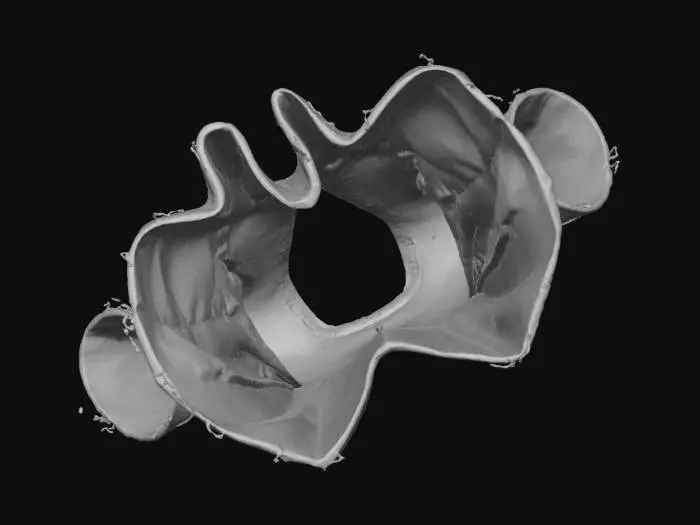 3D model for Une tunique en lin fabriquer a la main primitivement et mal adroitement , on dois voire les couture et les filaments qui la compose
