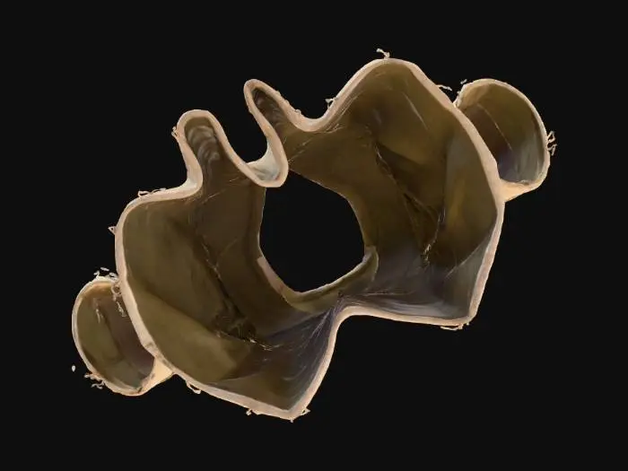 3D model for Une tunique en lin fabriquer a la main primitivement et mal adroitement , on dois voire les couture et les filaments qui la compose