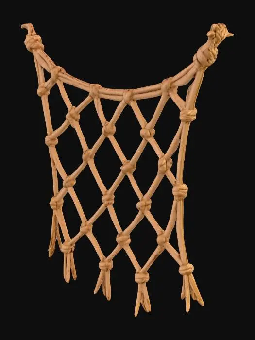 3D model for Net of Knots