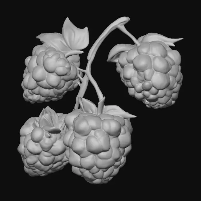 3D model for Raspberry Delight