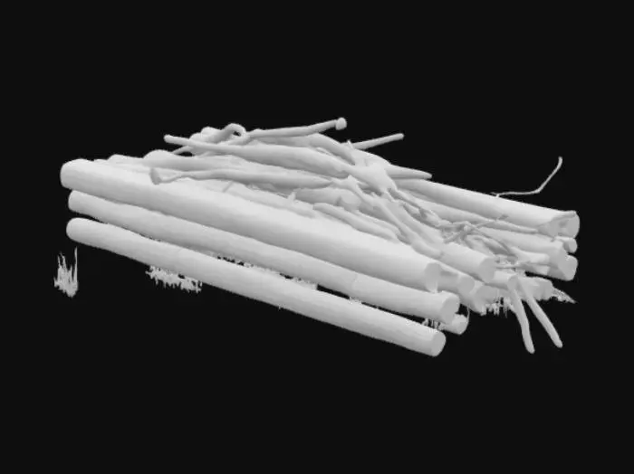 3D model for realistic beaver dam
