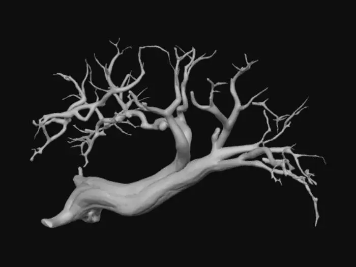 3D model for realistic fallen dead leafless tree, should be low poly