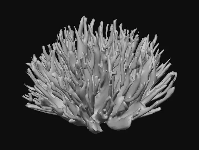 3D model for Anime art tyle coral reef with sharp and simple geometry 