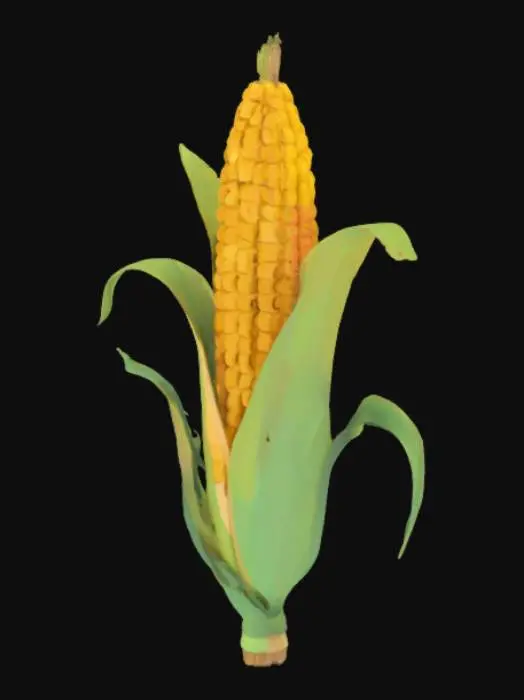 3D model for low poly cornstalk