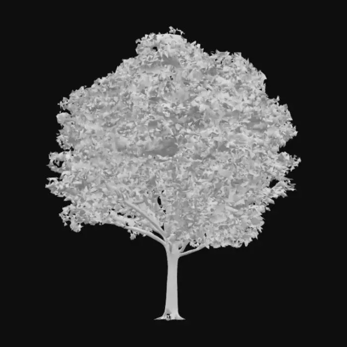 3D model for Green Sylva