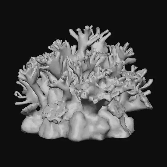 3D model for Anime art tyle coral reef with sharp and simple geometry 