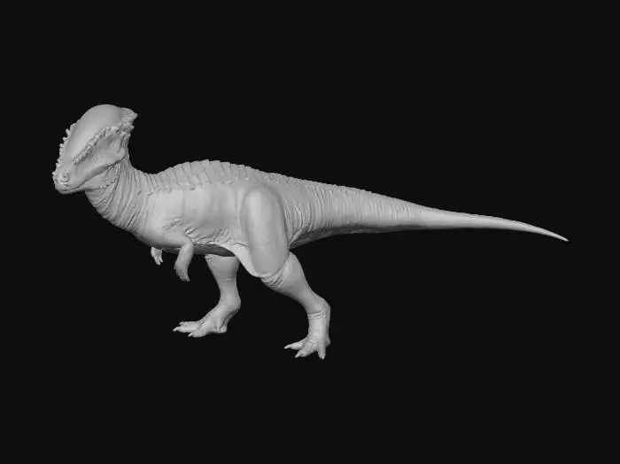 3D model for Pachycephalosaurus Illustration