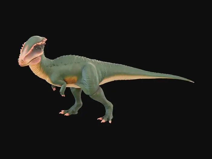 3D model for Pachycephalosaurus Illustration