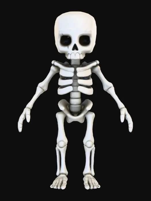 3D model for Skeleton Buddy