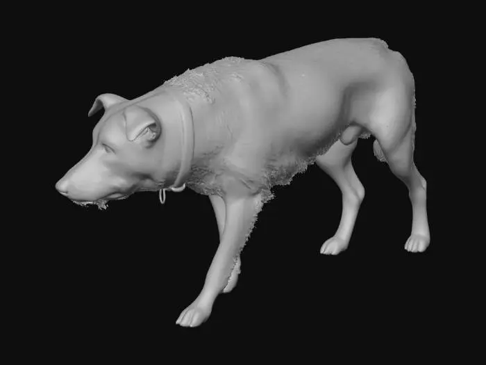 3D model for Curious Canine