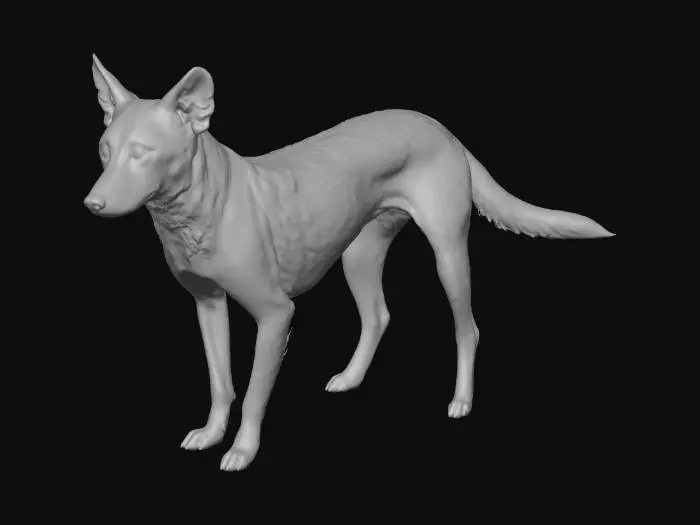 3D model for Canine Elegance