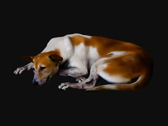 3D model for Solitude