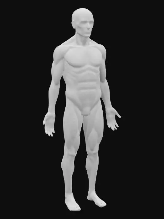 3D model for Please make for me a beautiful anatomically correct human nervous system made of glowing green silicon. Highest detail possible.