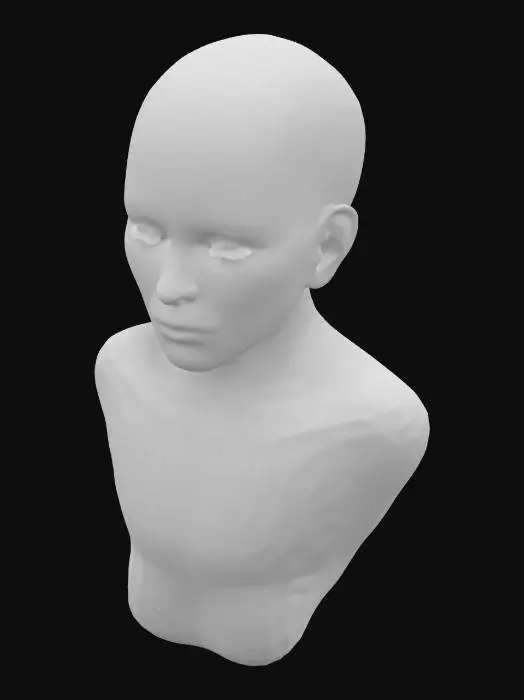 3D model for Please make for me a beautiful anatomically correct human pediatric nervous system made of glowing luminous green silicon. Highest detail possible.