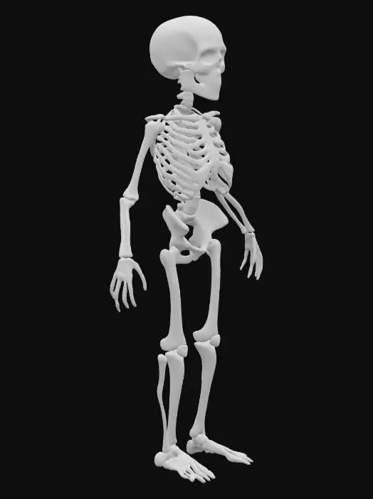 3D model for Please make for me a beautiful anatomically correct human pediatric skeletal system made of glowing luminous white silicon. Highest detail possible.