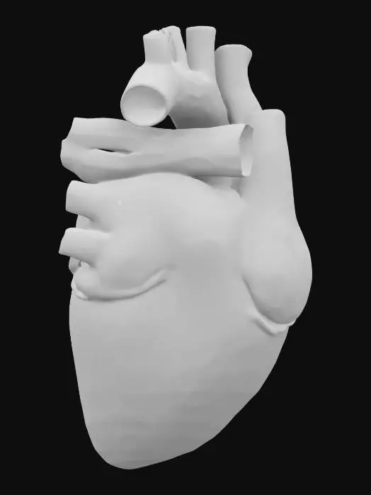 3D model for Please make for me a beautiful anatomically correct human pediatric heart made of glowing luminous ruby silicon. Highest detail possible.