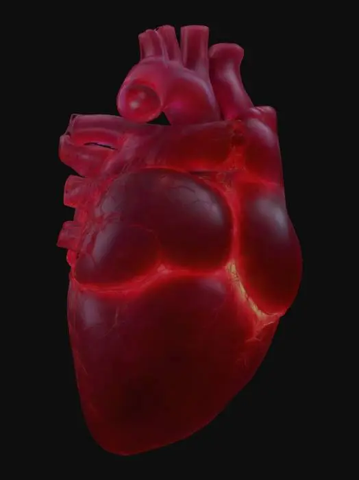 3D model for Please make for me a beautiful anatomically correct human pediatric heart made of glowing luminous ruby silicon. Highest detail possible.