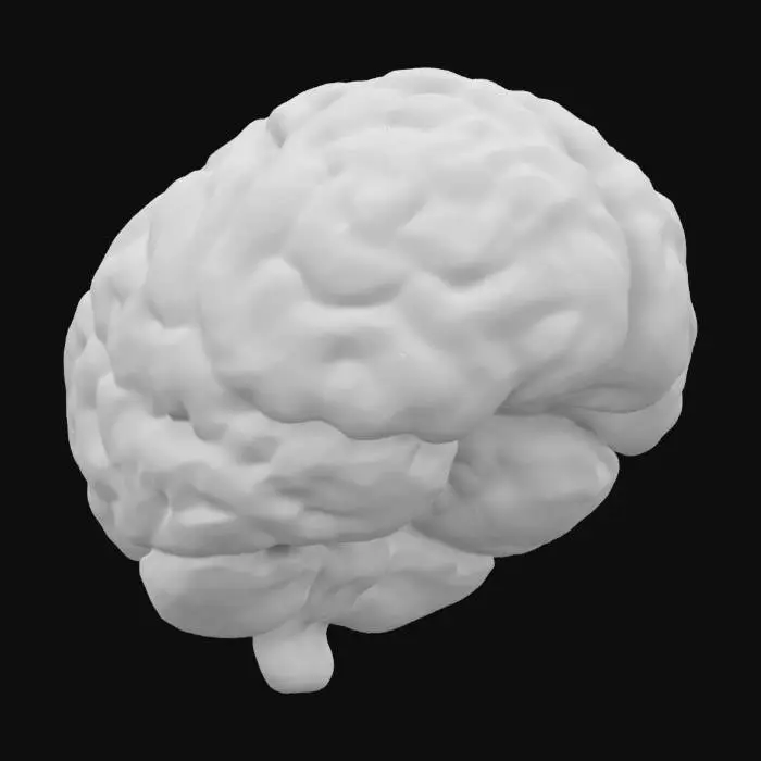 3D model for Please make for me a beautiful anatomically correct human brain made of glowing green silicon. Highest detail possible.