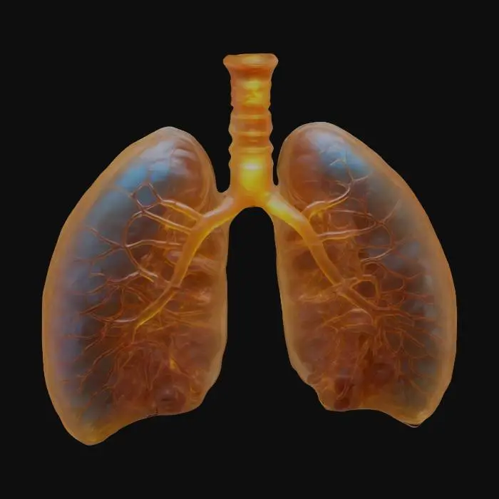 3D model for Please make for me a beautiful anatomically correct human pediatric respiratory system. made of glowing luminous topaz silicon. Highest detail possible.