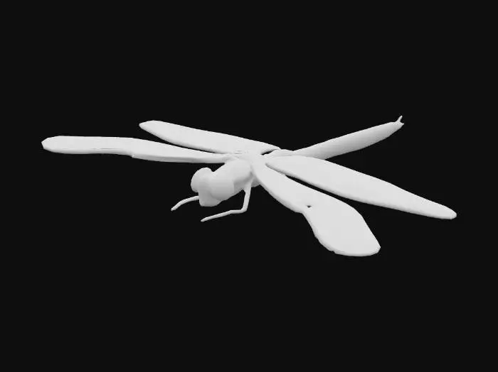 3D model for Eine Libelle mit einem schlanken, segmentierten Körper, der oft metallische Blau-, Grün- oder Bronzetöne aufweist. Ihr großer Kopf besitzt zwei prominente, facettierte Augen, die einen Großteil der Oberfläche bedecken. Vier filigrane, transparente Flügel mit einem komplexen Netz feiner Adern sind am Thorax befestigt. Sechs kurze, stachelige Beine, die oft eng am Körper anliegen, sind unter dem Thorax positioniert und ermöglichen das Fangen von Beute. Die gesamte Oberfläche wirkt glatt und leicht schimmernd.