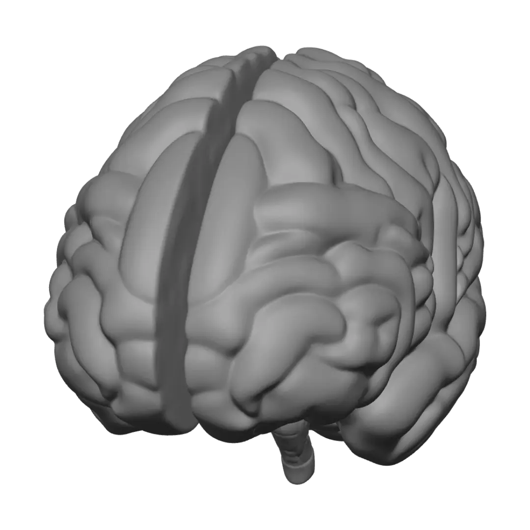 neuron