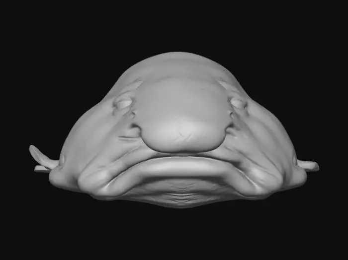 3D model for Meatface