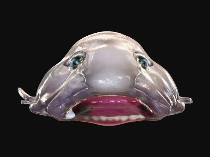 3D model for Meatface