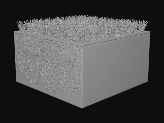 3D model for Geological Layers with Vegetation