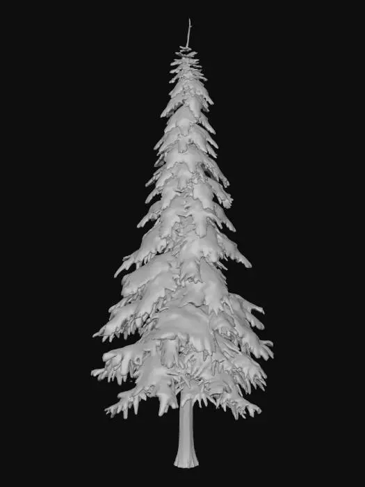 3D model for Winter Pine