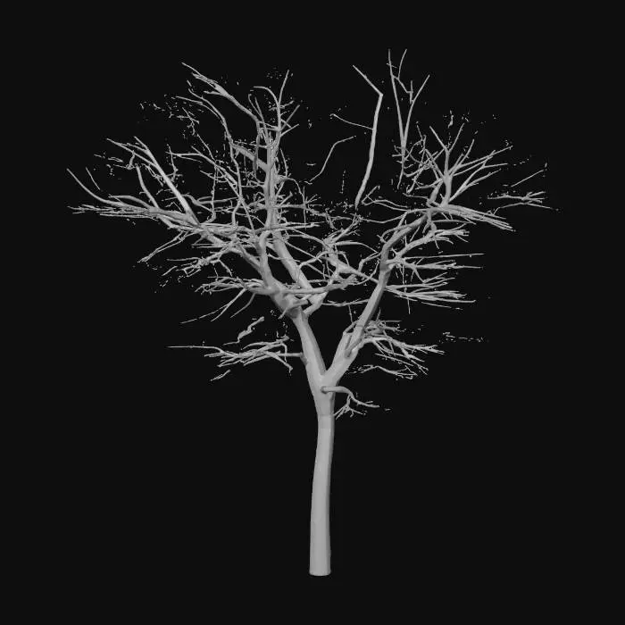 3D model for Winter's Solitude