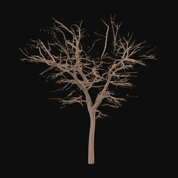 3D model for Winter's Solitude